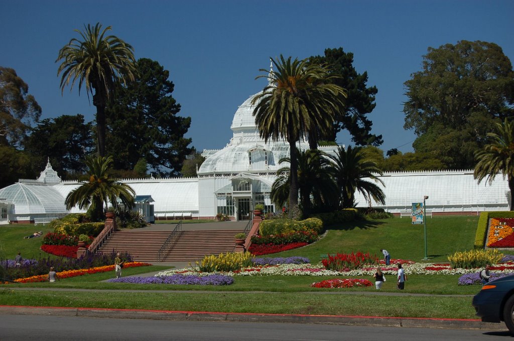 Hot House Golden Gate Park by Tim Hilditch