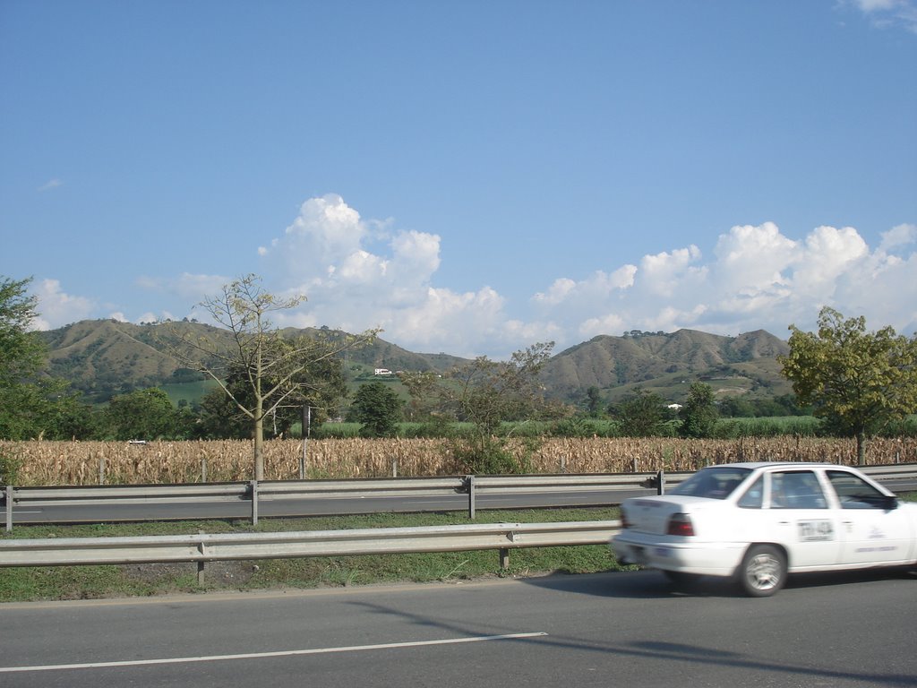 Carretera by Saho Ushio