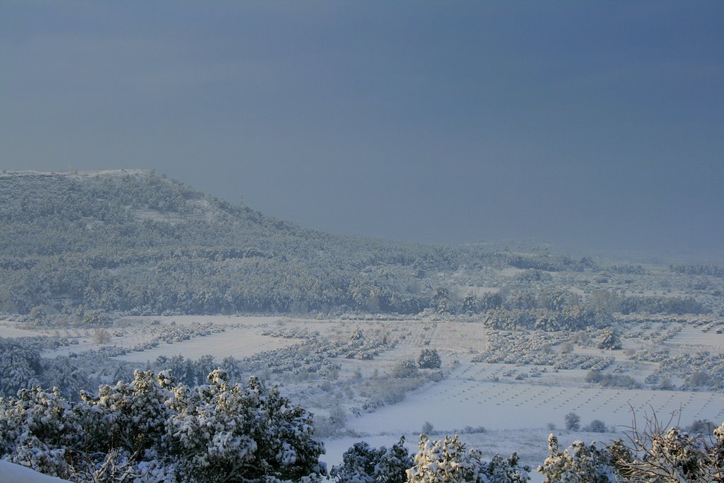 Vue sur les champs d'oliviers à Velaux sous la neige by Mido&Kiwi