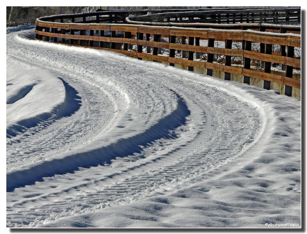 Solchi nella neve by Andrea Allasio