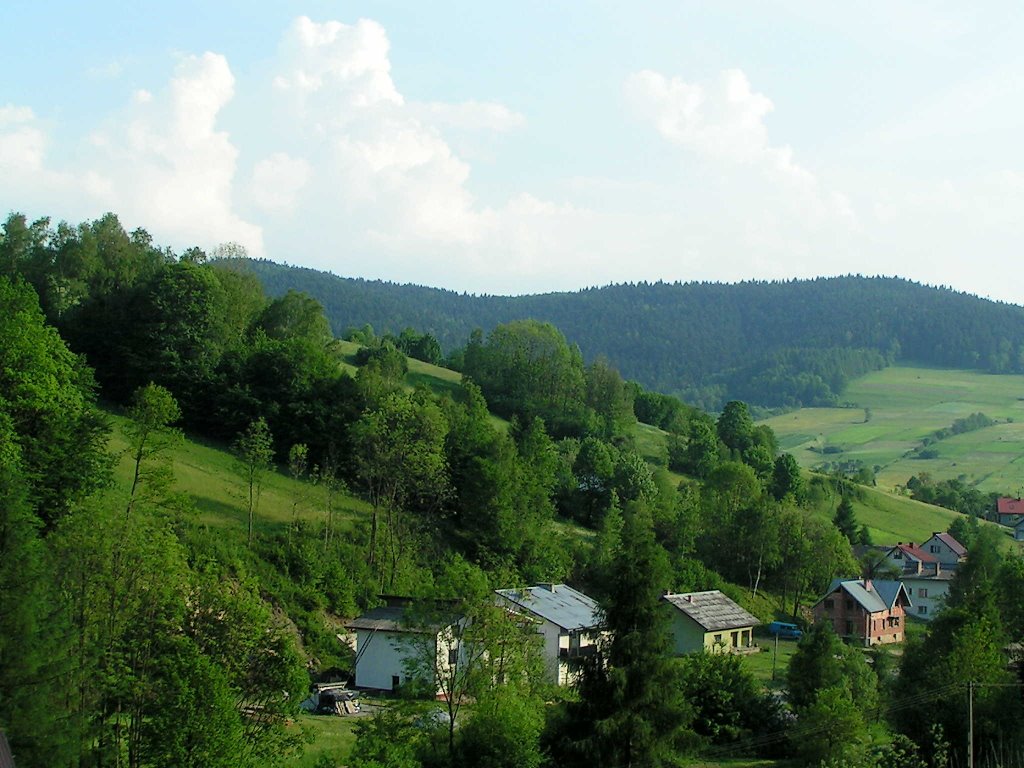 Ptaszkowa vicinity by wuhazet