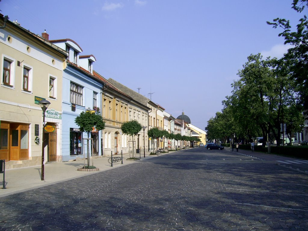 Spišská Nová Ves by Basia i Wojtek