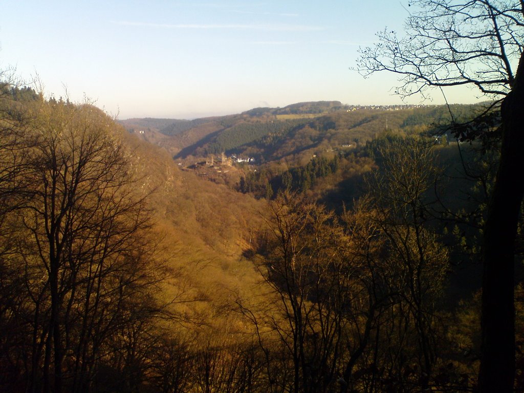 Blick auf die Isenburger Burgruine by kerdi