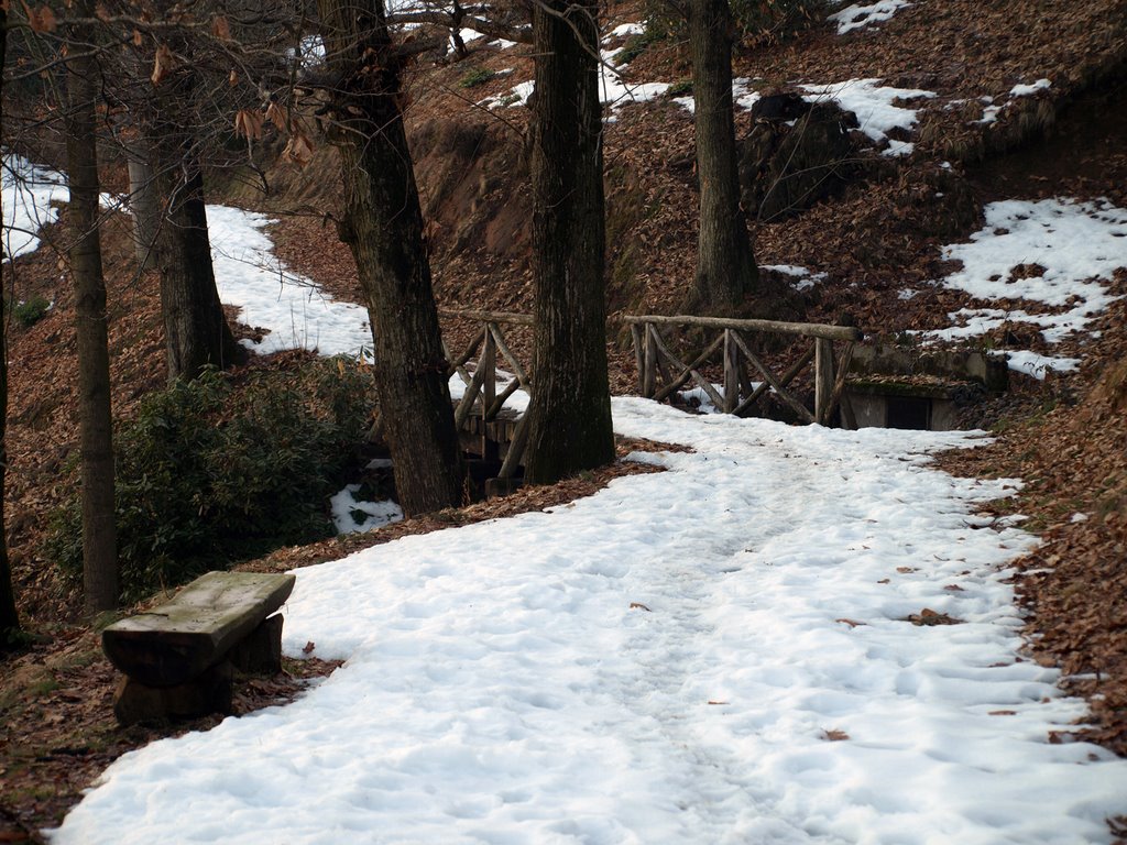 Burcina (BI) - "Corsia" innevata by Giancarlo Ticozzi