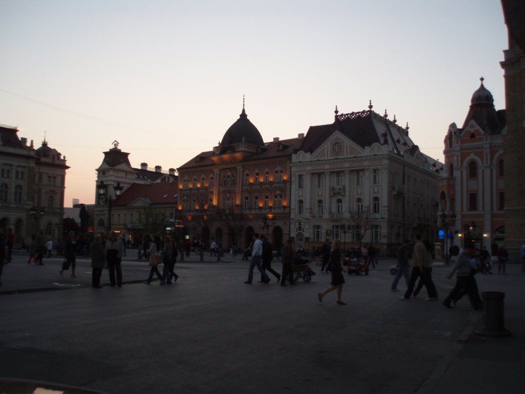 Twilight in Novi Sad by zoran zatezalo