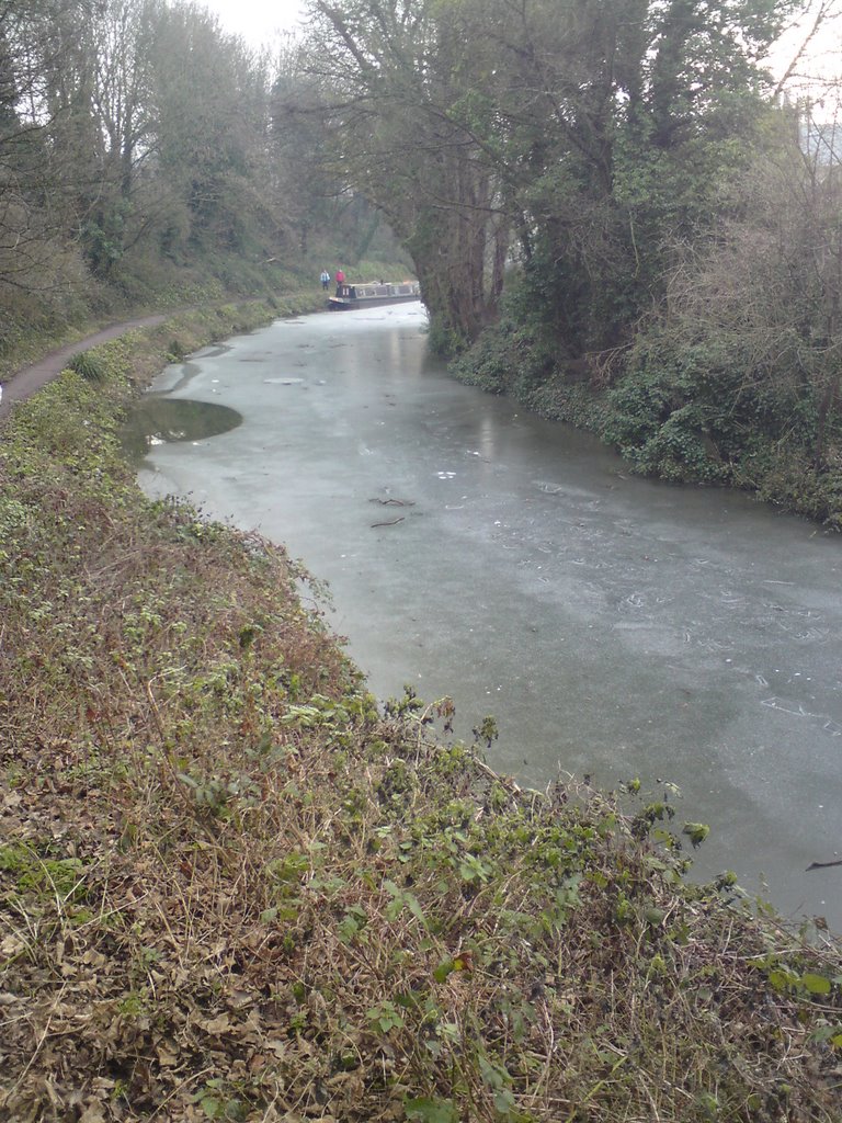 Frozen canal by simon-williams1