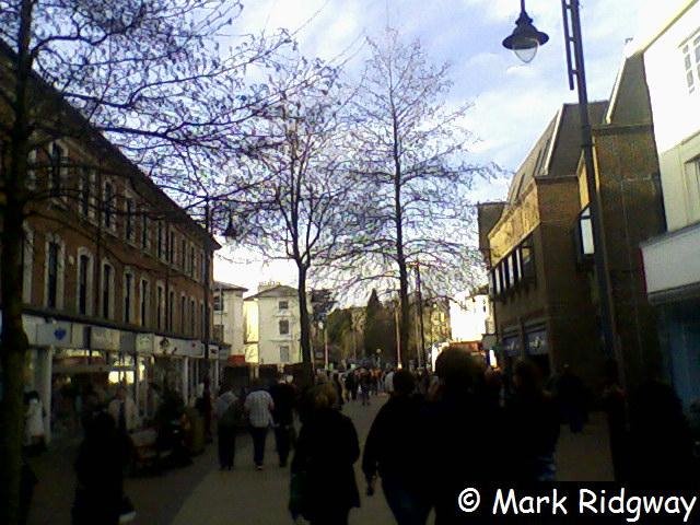 Calverley Road (2) by Mark Ridgway