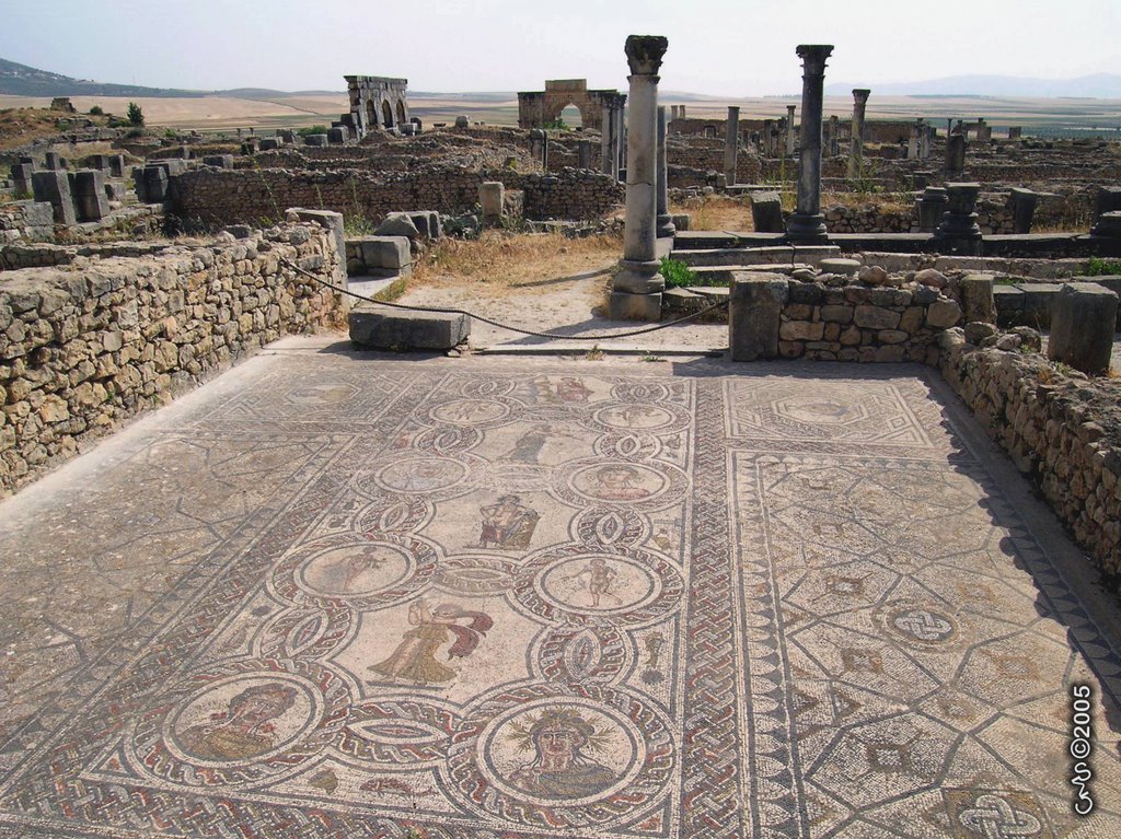 The house of Dionysus and the Four Seasons mosaic by Carlos Marques da Si…