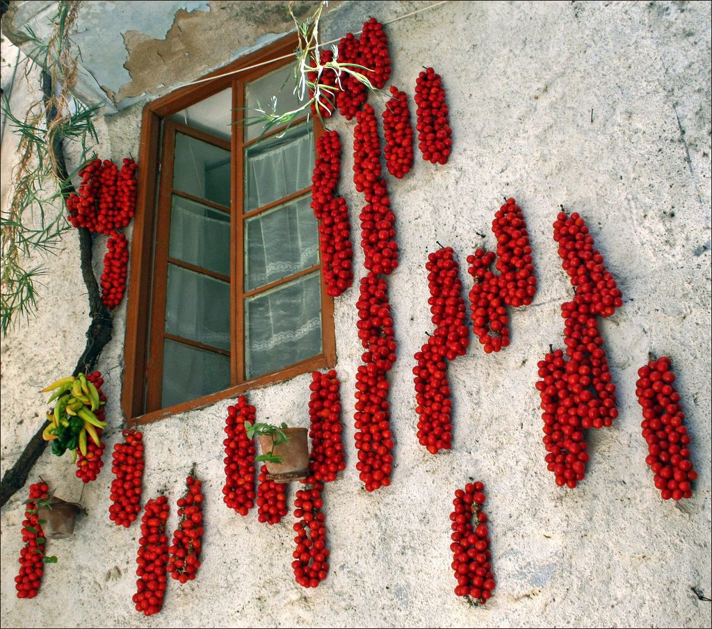 Baby tomatoes by Michalis_Argiroudis