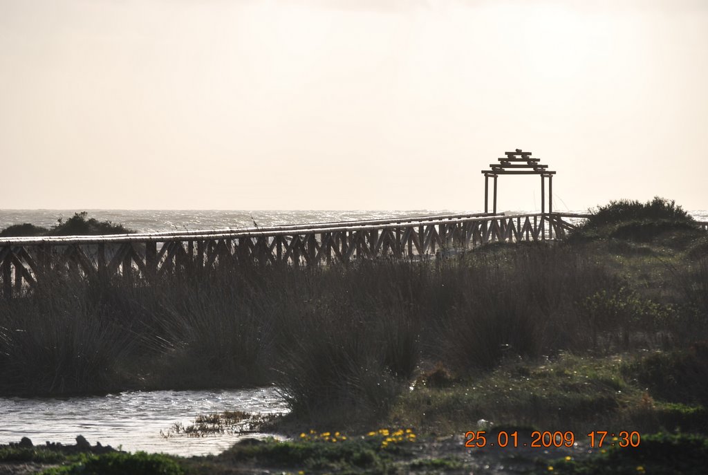 PUENTE A LA PLAYA by luis,rosarioyjorge