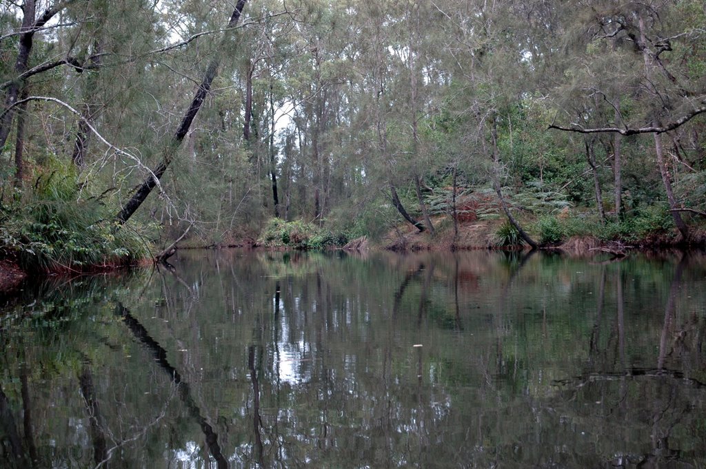 Water Colours of Stockton Creek by Selim Tezcan