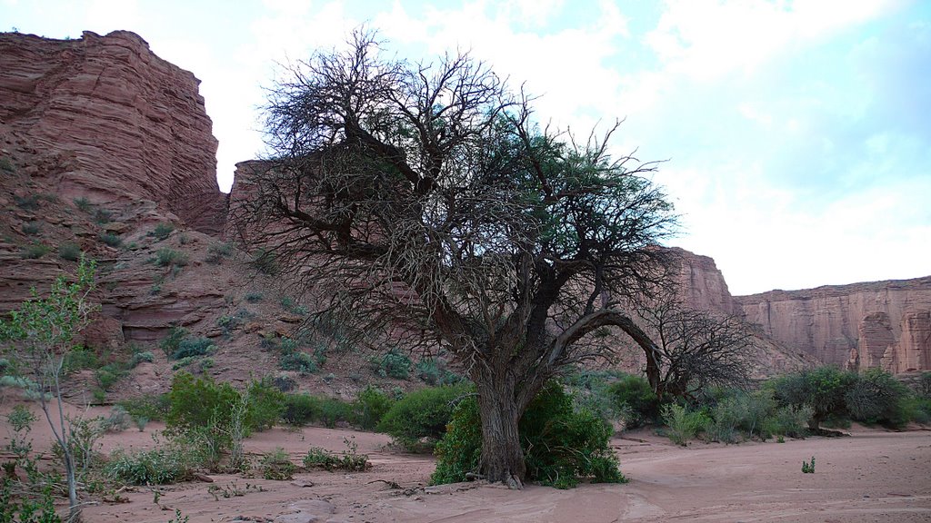 Going to the Don Eduardo canyon by Reynald.d.Chatillon