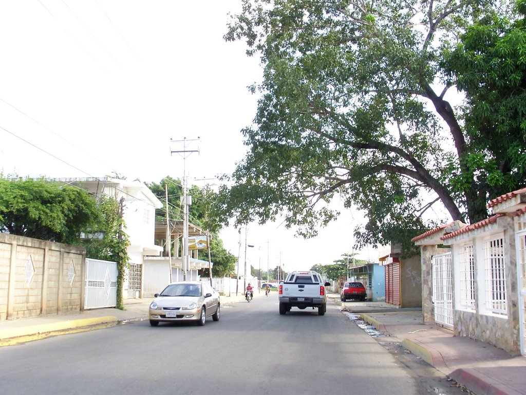 Avenida 41_ Hacia el Sureste by Fabio Zacarías-Socor…