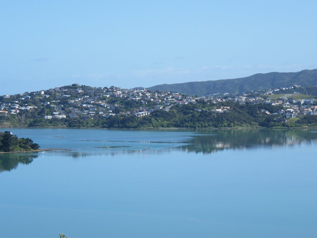 Pauatahanui Inlet by Bill Ferris