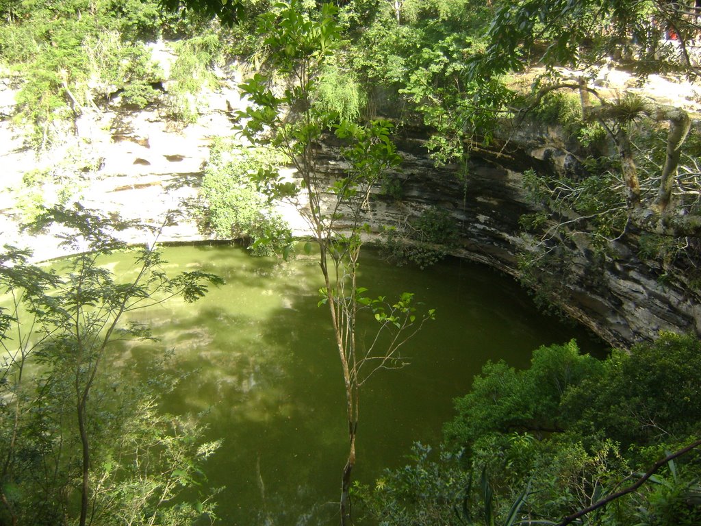 Cenote sagrado by meyo65