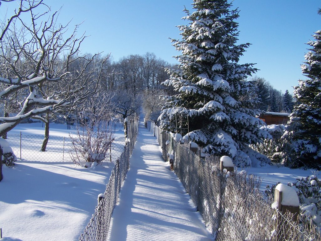 Winter in der Gartenanlage by kjhansch