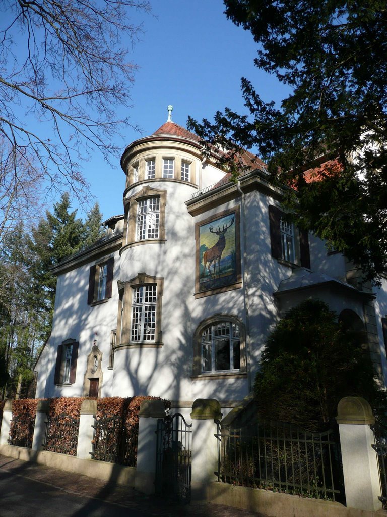 Villa bei Majolika, Karlsruhe by resslinger