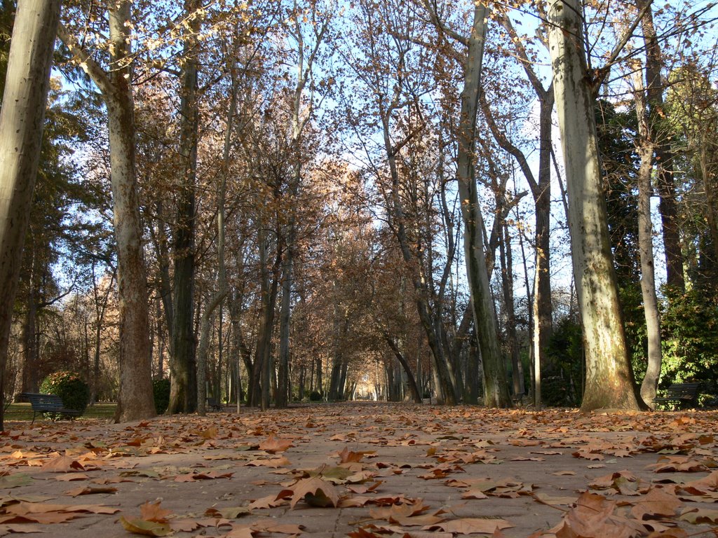 Jardin del Principe by Pedro J. García