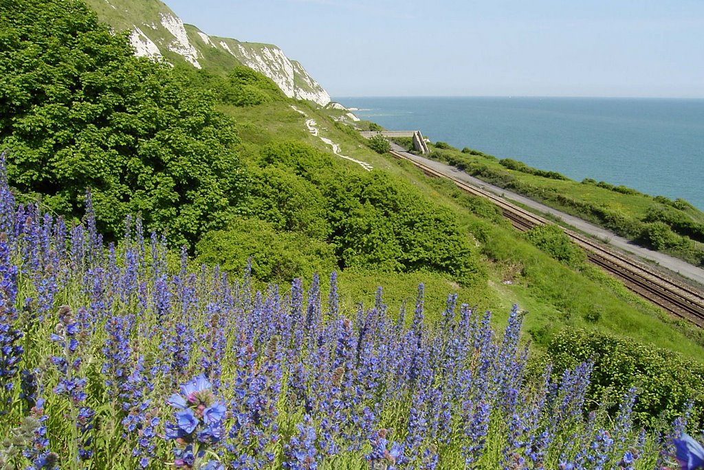 Folkestone-Dover railway by Derek Rye