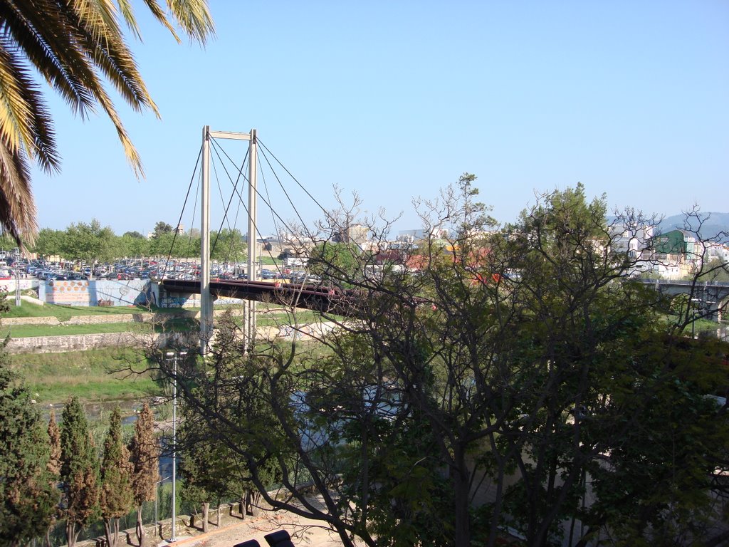 Puente Colgante, Gandia by Viajestic