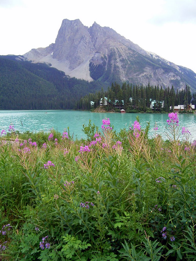 Emerald Lake and Mt. Burgess by Masako Yamashita