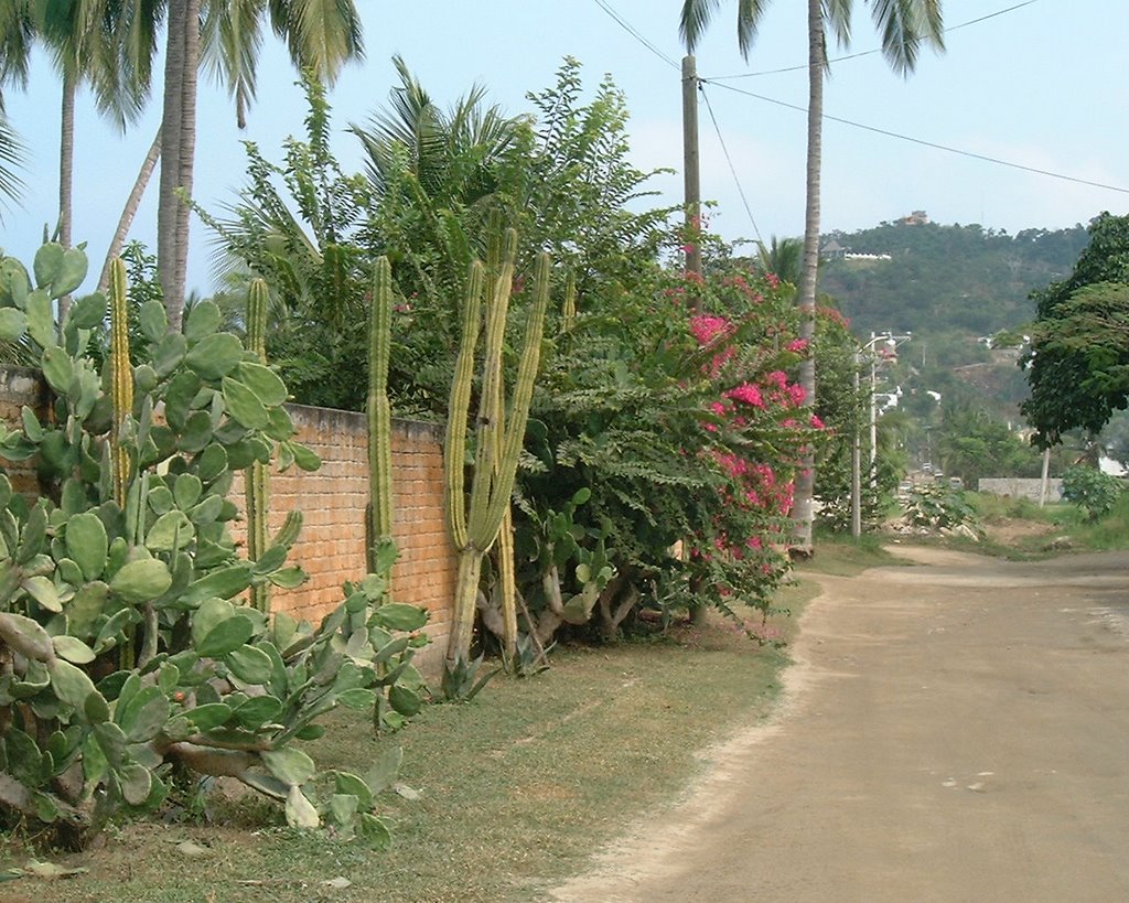 Street in Sayulita by sjaak van duivenvoor…