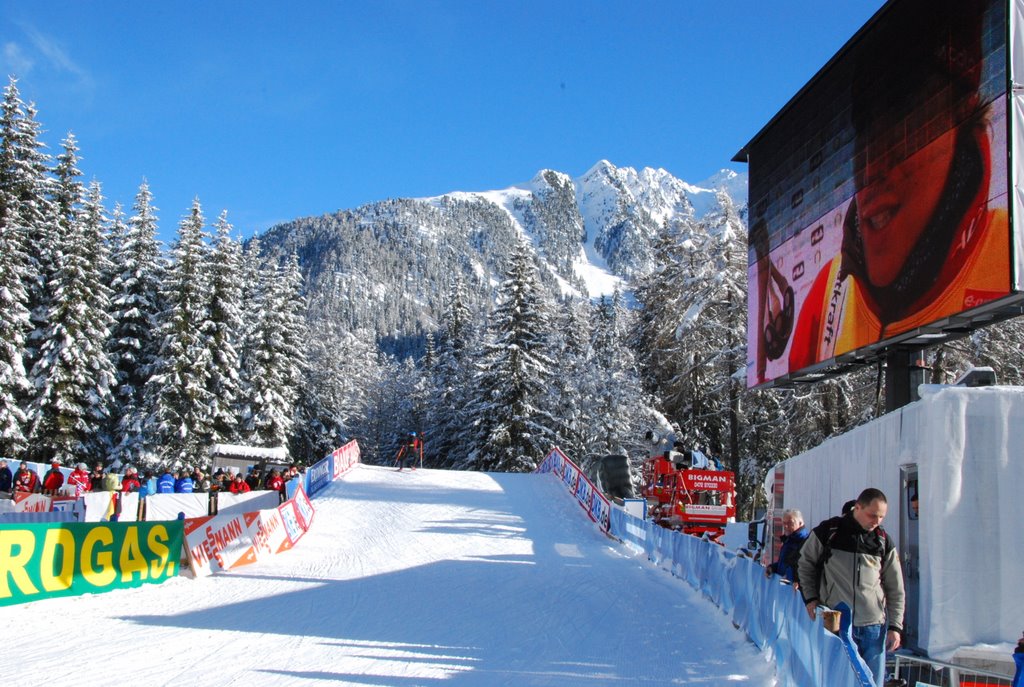 Biathlon Worldcup Competition: Antholz 2009 by tormic