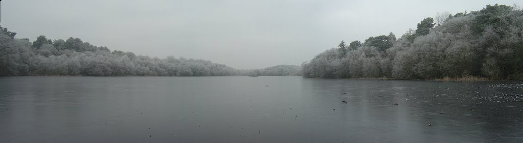 Sutton Park - Bracebridge Pool by ukdood