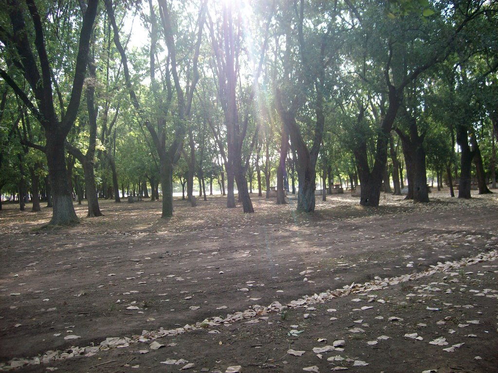 Alejandro Korn, Buenos Aires Province, Argentina by macgraw