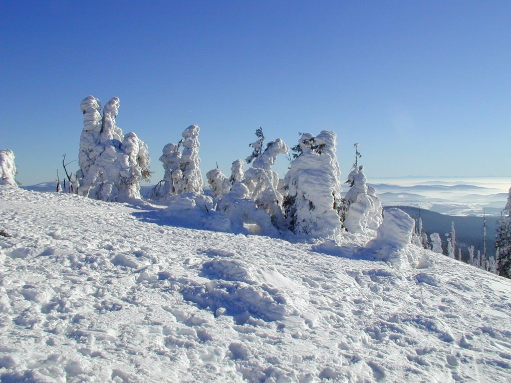 Winter Impressionen auf dem Lusen by roadrunner48