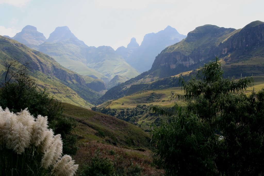 Cathedral Peak (from Hotel) by Willie Henegan