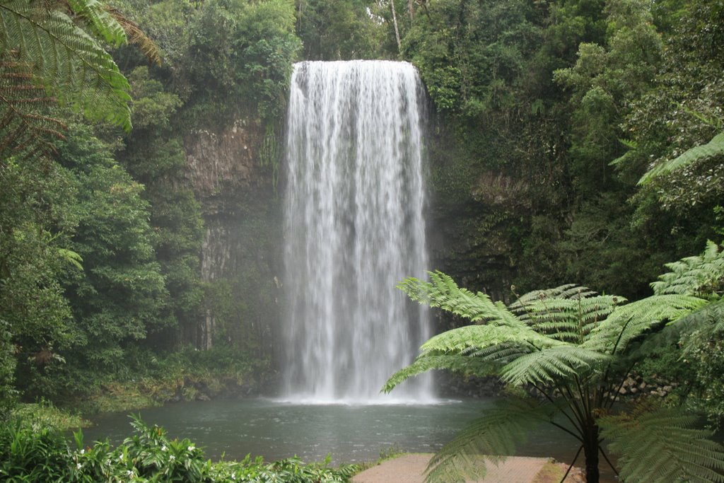 Millaa Millaa Falls by Leonard Nhokwara