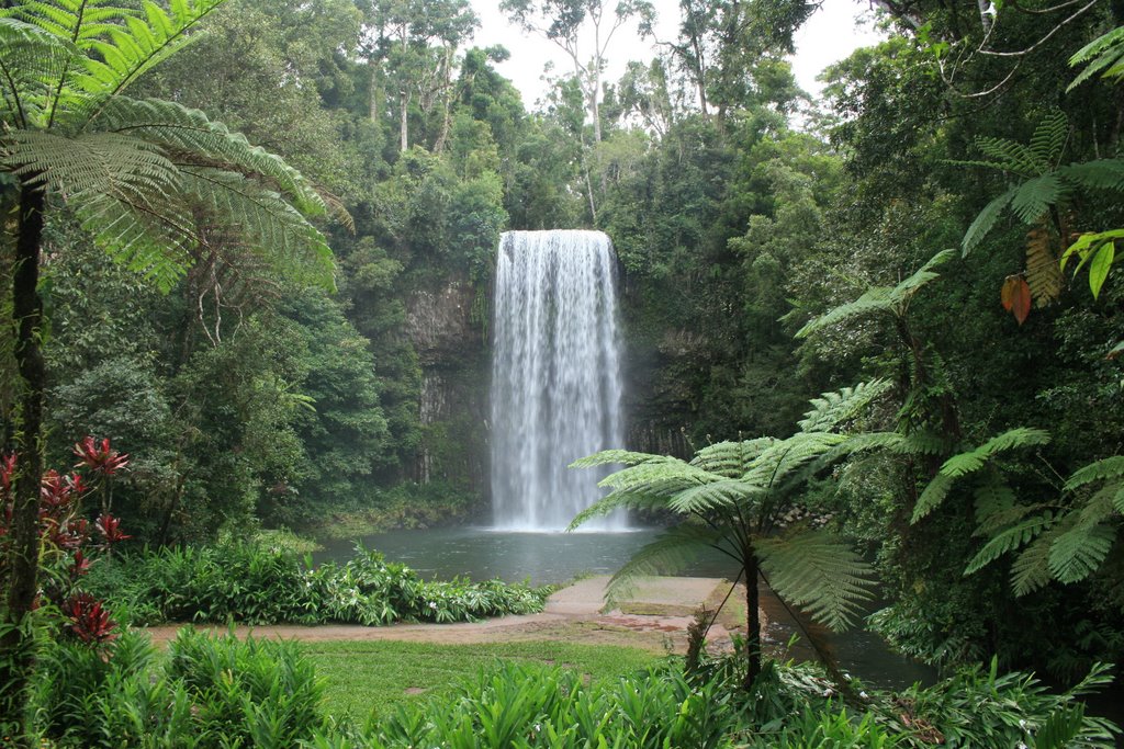 Millaa Millaa Falls by Leonard Nhokwara