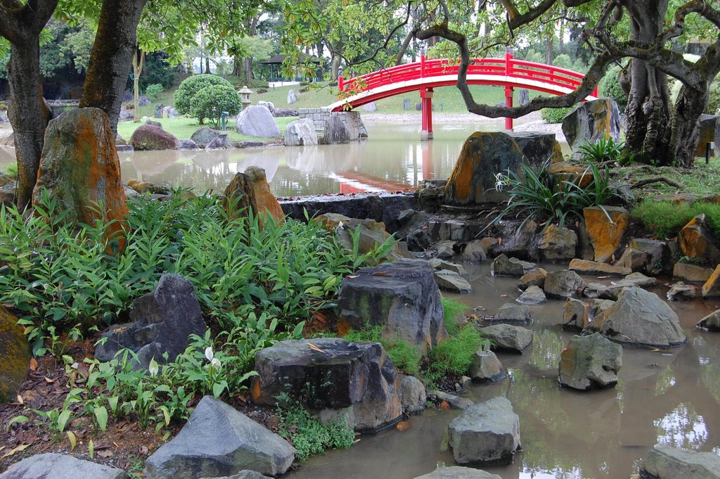 Japanese Garden at Singapore by Diego Molla