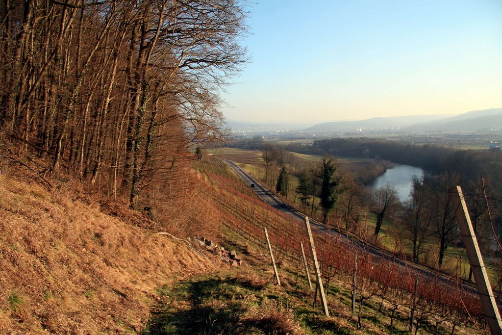 Landstrasse Richtung Oetwil und Rebberg by vodua