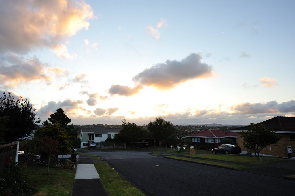 Botany Downs, Auckland, New Zealand by vpechorin