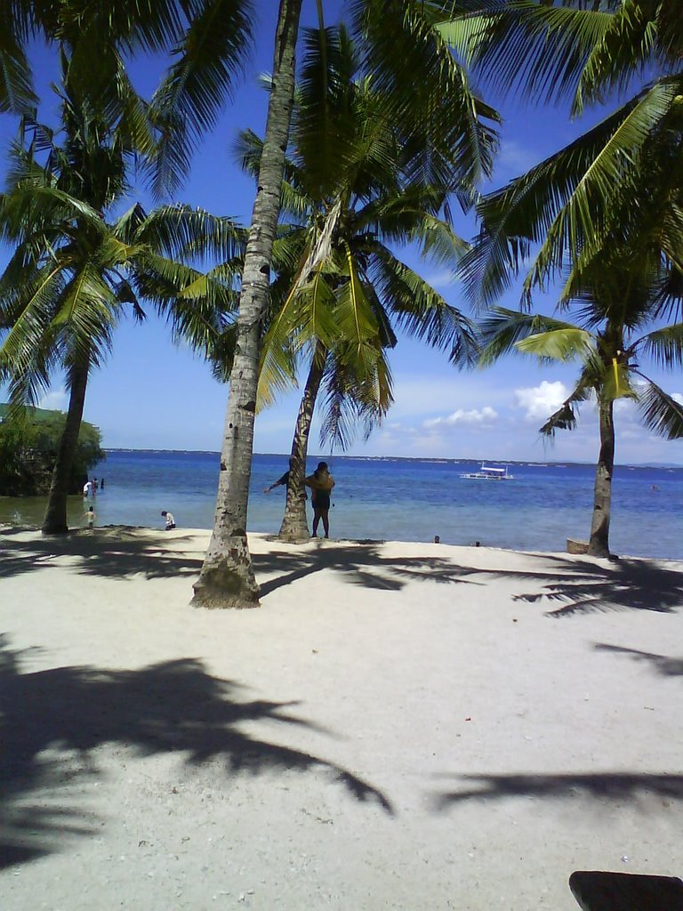 Palm Trees at Hadsan Resort by Lei Margaret