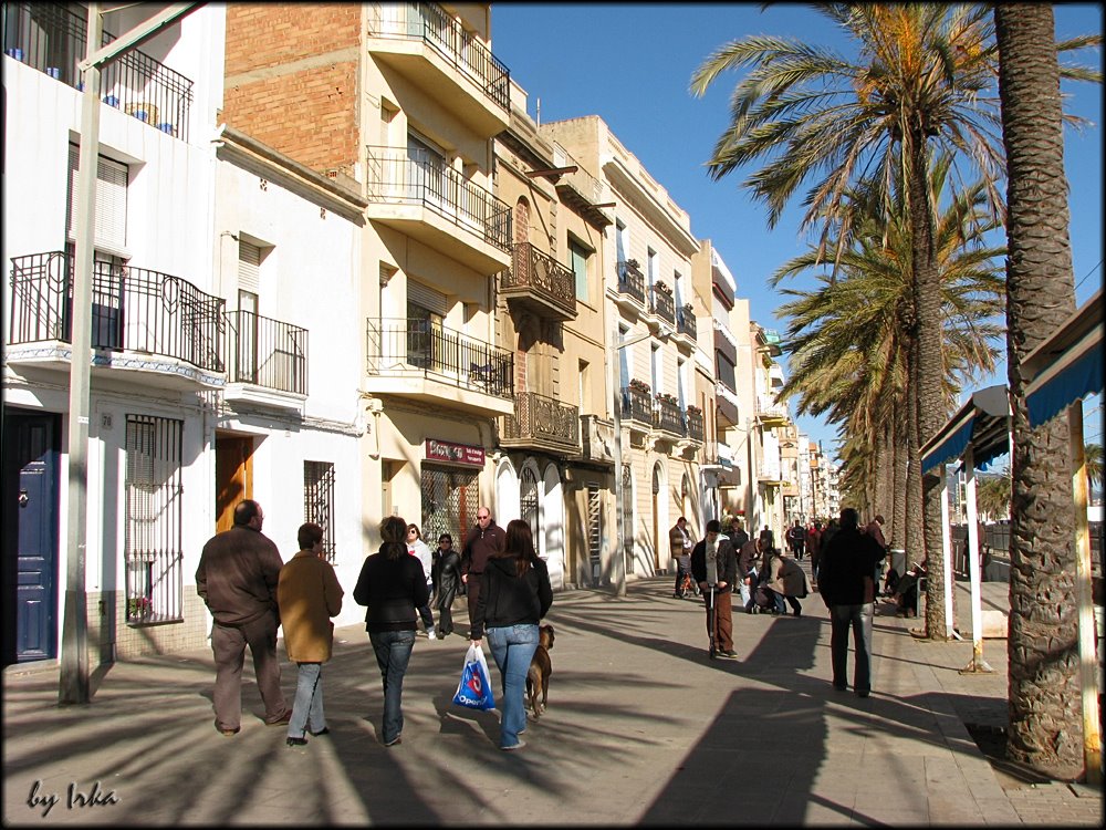 Under the palm trees - Badalona by irka31