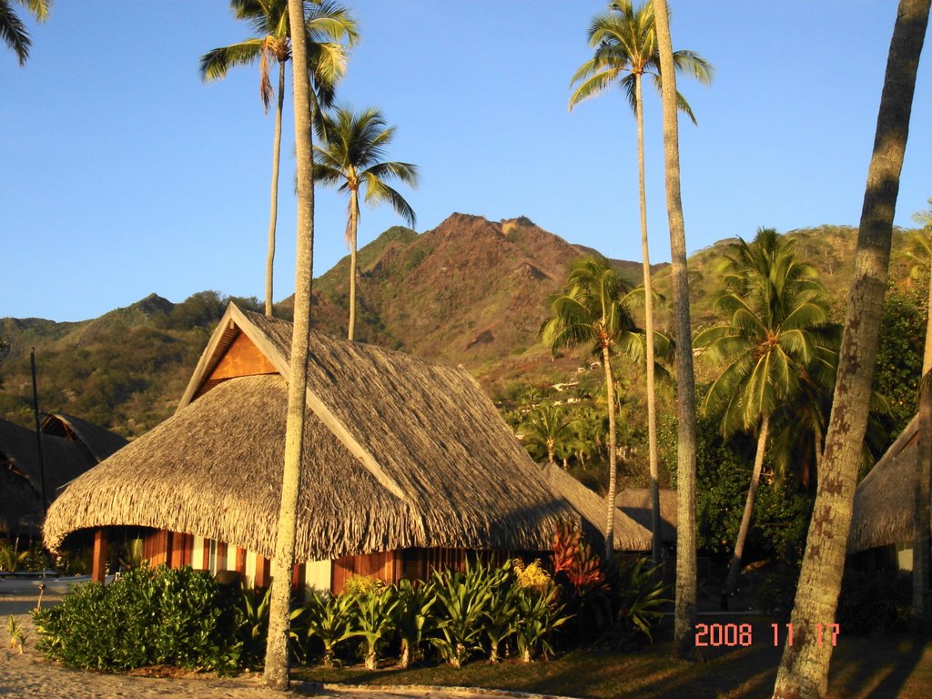 Moorea, Ia Ora Sofitel bungalow by Noe Gabor