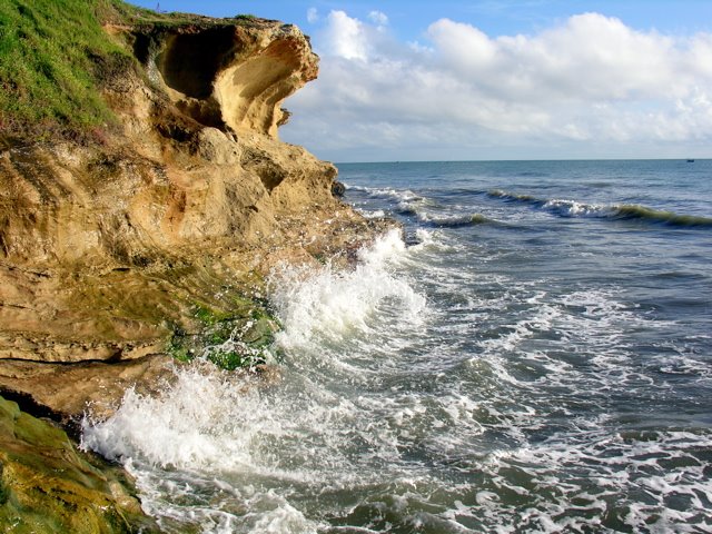 TIBAU by EDUARDO FIGUEIREDO