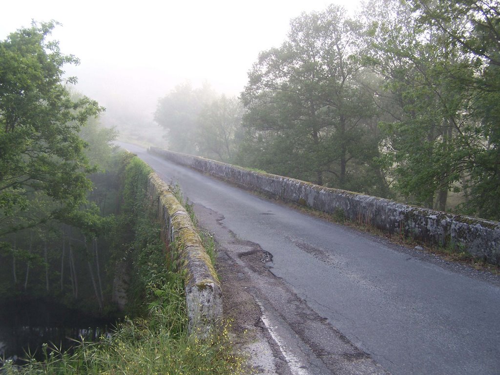 Puente sobre el Río Arnoya a la salida de Xunqueira de Ambia by jetxea