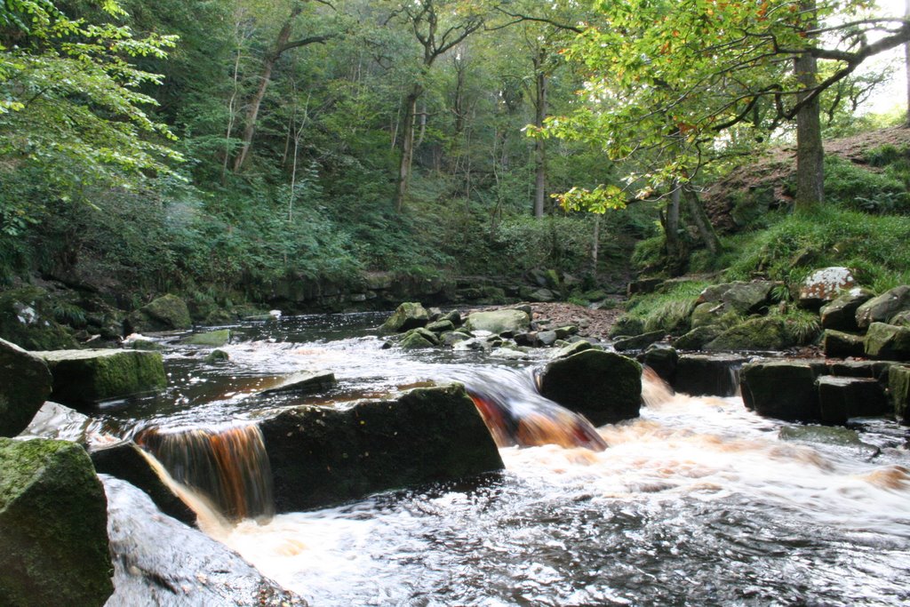 Mallyan Spout by Mgmat