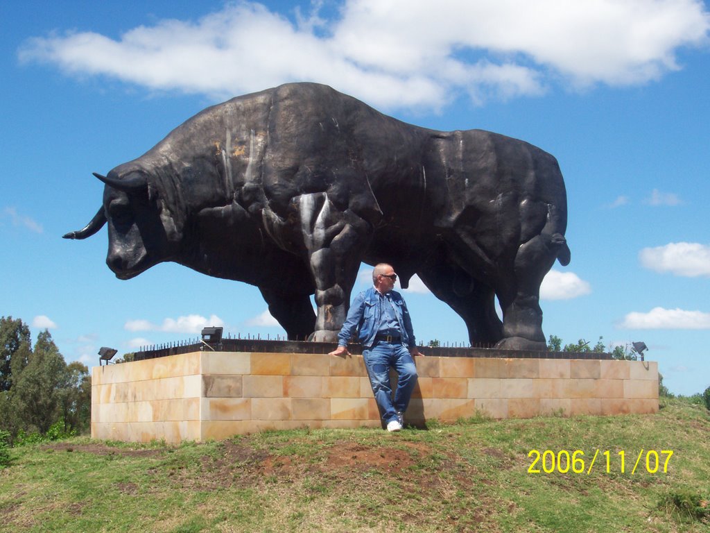 Tomando mate con el toro by Williams NUÑEZ