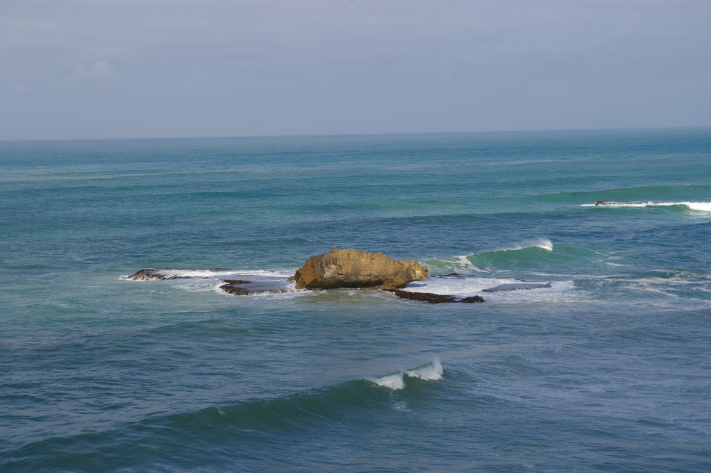 Cape Northumberland, "Rhino Rock" by Old Nick