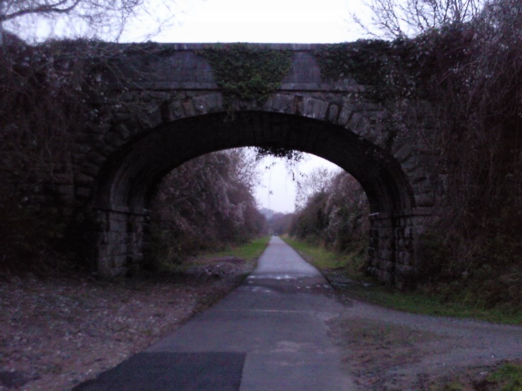 Old Bridge by Dennis Sheehan