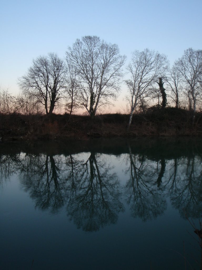 Ambrussum - Trees refelected in the river by space.ball