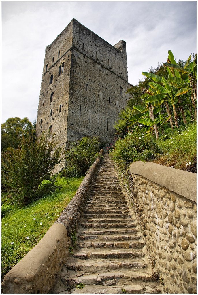 SAUVETERRE-DE-BEARN [64] : Tour Monréal. Haute de 33 mètres, elle date du XIIème siècle. by Michel Chanaud