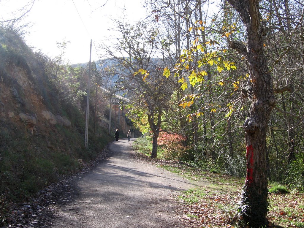 Camino del Pozo Azul, Covanera by enrikeduke