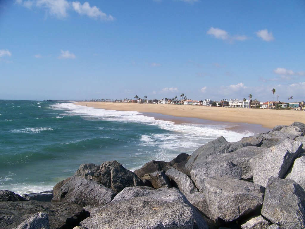 Newport Beach, CA, USA by Dolly Welch