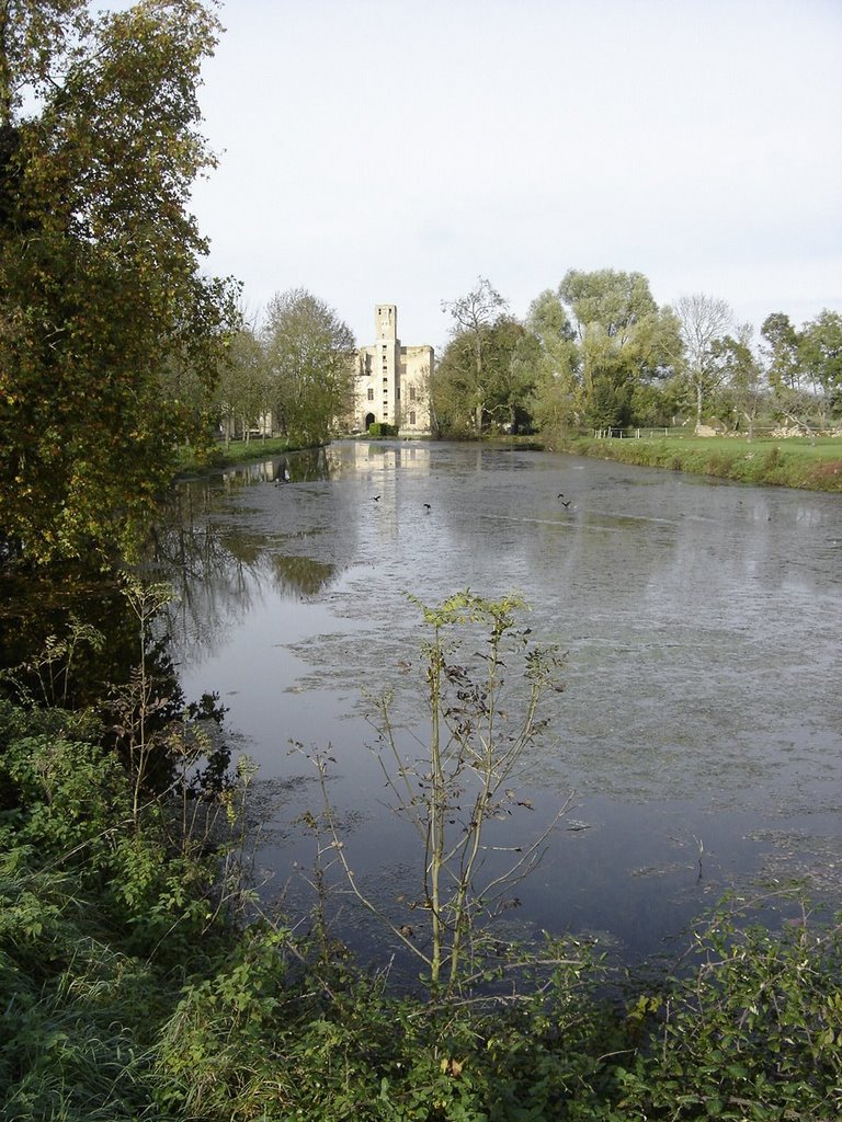 SAGONNE [18] - Vue de l'arrière du château : donjon et plan d'eau (octobre 2006) by Michel Chanaud